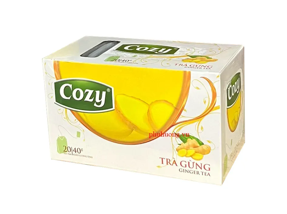 Trà cozy gừng túi lọc 50g
