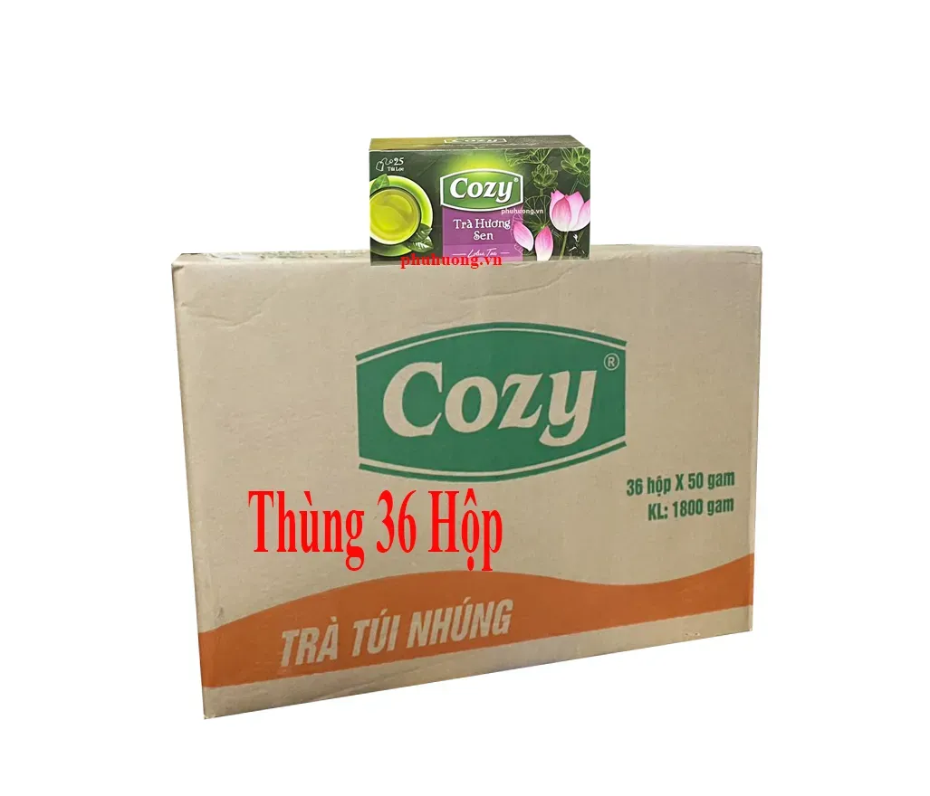 Trà cozy túi lọc sen - Thùng 36 hộp