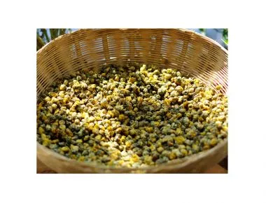 Hoa cúc nụ 100g