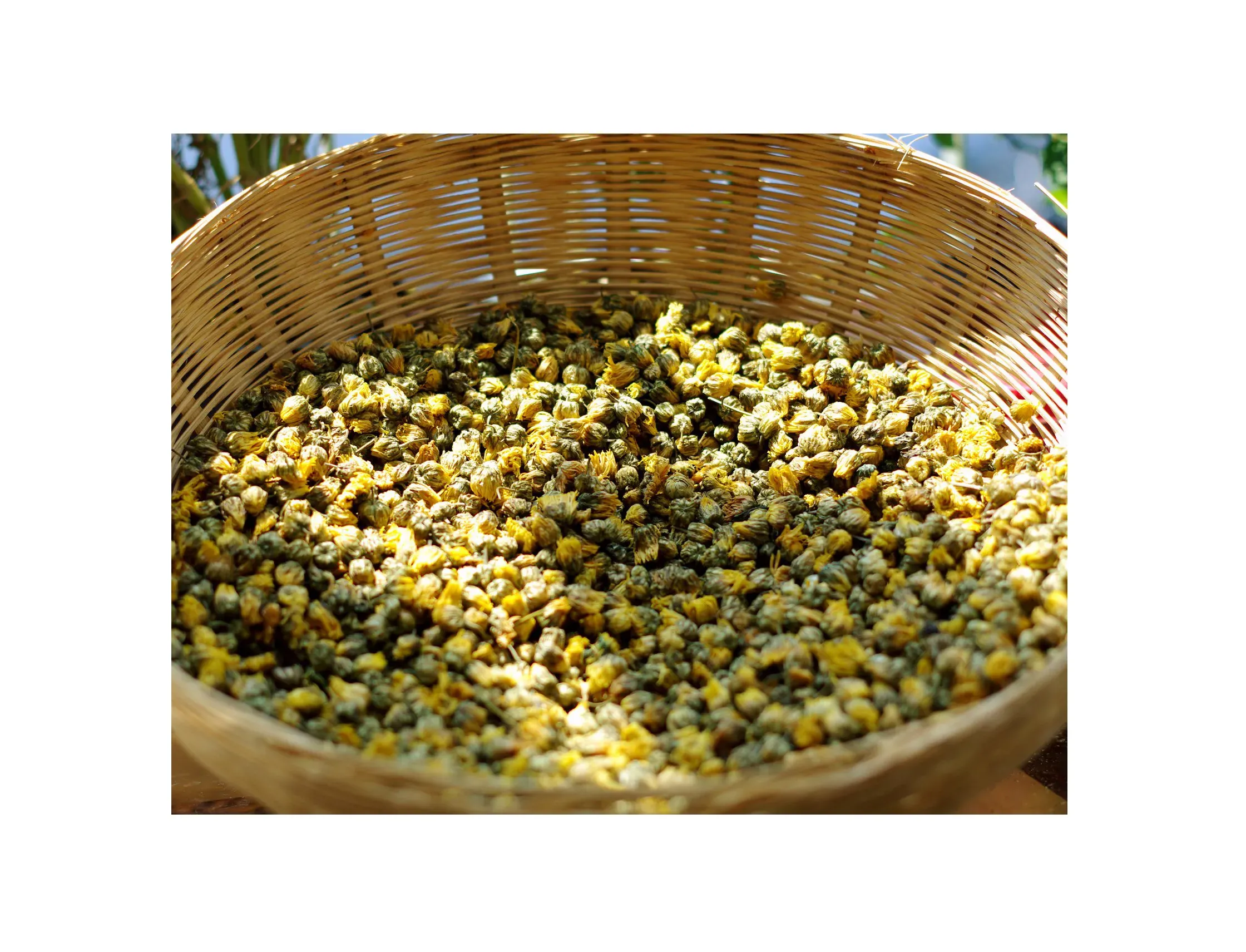 Hoa cúc nụ 100g