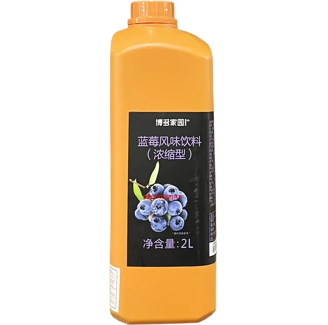 Syrup Boduo vị việt quất 2 lít