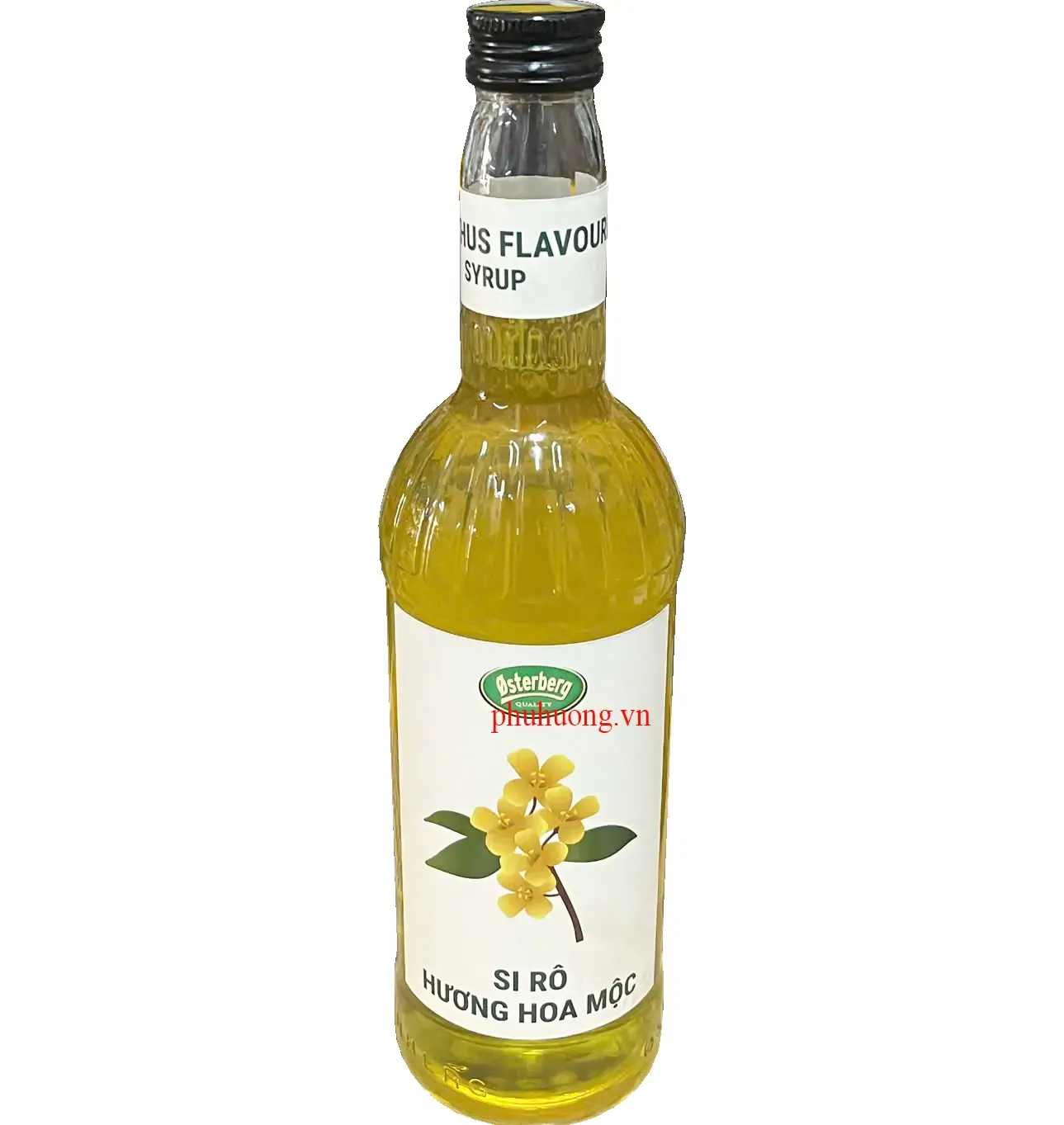 Syrup Osterberg hoa mộc (SIRO) 750ml