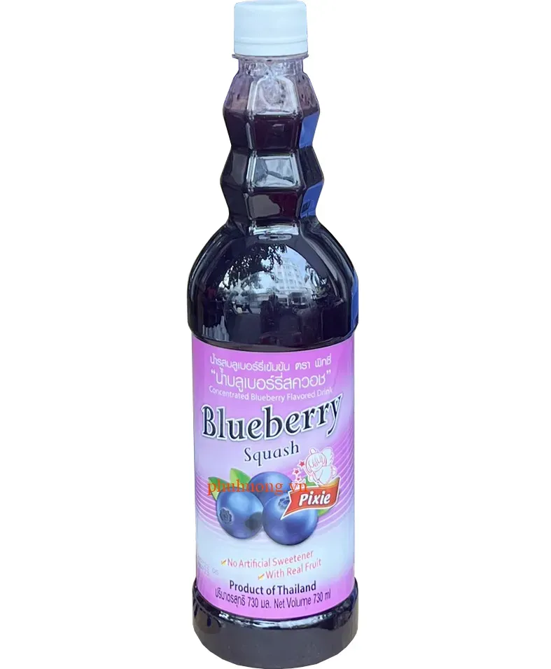 Syrup Pixe việt quất 730ml